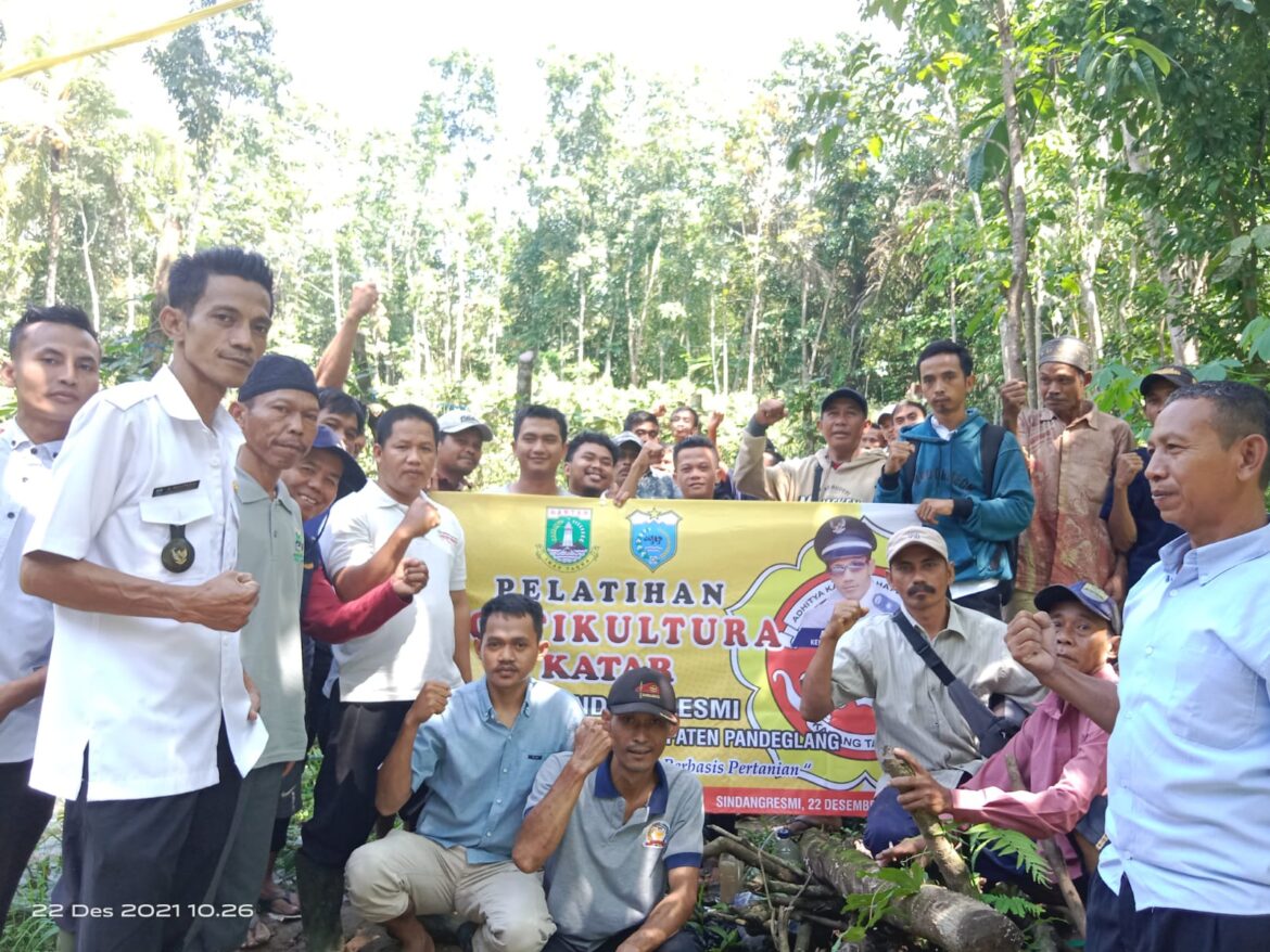 Manfaatkan Kebun Warga, Karang Taruna Desa Sindang Resmi Selenggarakan Pelatihan Holtikultura			No ratings yet.		